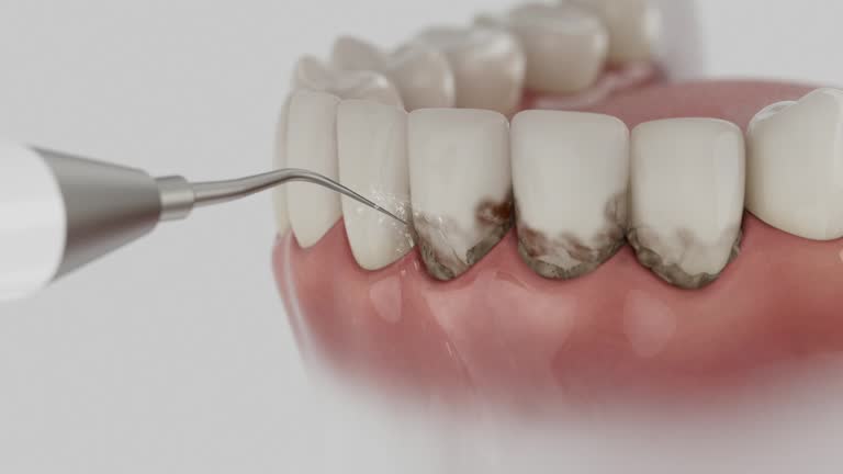 Reliable Dental contractor in Creedmoor, NC by Dentist Open Now